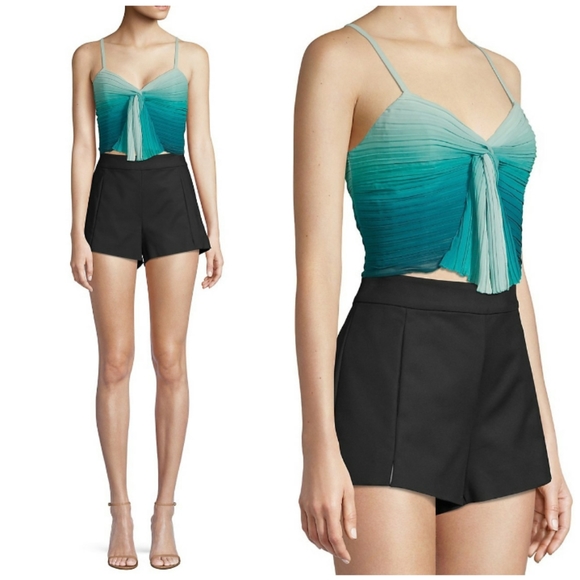 Ramy Brook Tops - RAMY BROOK Tatiana Pleated Ombre Crop Tank Top